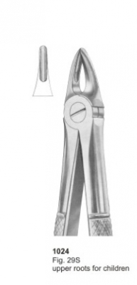  Fig. 29S upper roots for children 